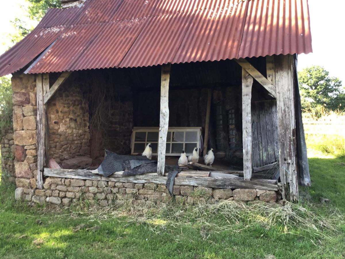Les Petits Champs Apartman Buais-les-Monts Kültér fotó